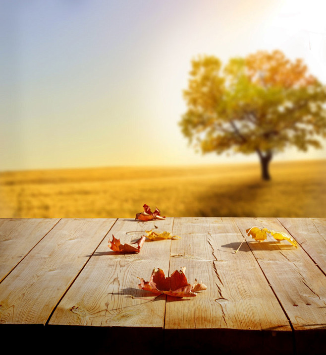木板与秋季风景图片素材