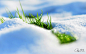 General 3840x2400 snow grass