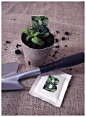 【品牌包装】Gardening Multipack - Oazis园艺包装设计