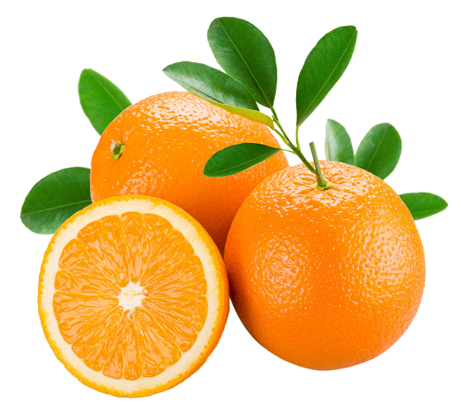 橙子 水果 png素材