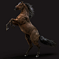 Stallion (more coats colors), Massimo Righi : stallion model (more coats colors)
Maya/Arnold/Shave-and-a-Haircut. 
The model comes fully rigged and animated and it’s available for download @ www.massimorighi.com
https://www.instagram.com/massimorighicg
