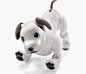 sony aibo robot dog