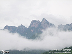 Iewoahz采集到夏季九华山_多图, 吃馒