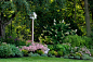 Late summer garden - traditional - landscape - boston - Amy Martin Landscape Design