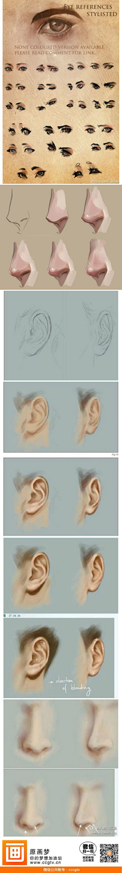 Timore采集到眼睛耳朵五官绘画技法