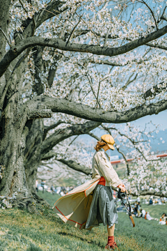 春晓扬帆采集到photo