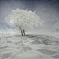 Photograph Alone in the winter by Caras Ionut on 500px