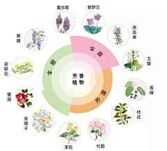 mzQue7hV采集到排版参考