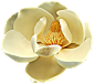 magnolia 18.png : Фото, автор KNataliV на Яндекс.Фотках