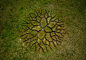 World Tree : 2012 /Ø: 10 meter /soil, water