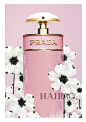 普拉达 (Prada)花花小姐淡香水