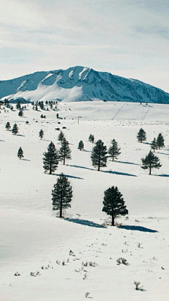 小0是小零呀采集到雪o(╯□╰)o美景