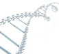 DNA