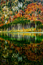 季相 秋 色块
~~Autumn forest | reflections of the fall, Austria by Gerhard Vlcek~~_摄影新美图 _T20181020 #率叶插件 - 让花瓣网更好用# _园林采下来 #率叶插件，让花瓣网更好用#