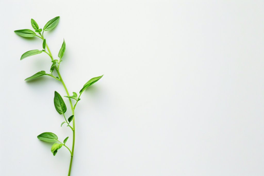 5f8c5707716ef788b5d710eeb926fac550e70cf8c0169-bvr9a3