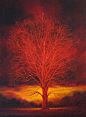  #插画#   灬铃兰灬 采集
Saatchi Online Artist: mark duffin; Oil 2012 Painting "red tree"