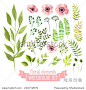Vector floral set. Colorful floral collection with leaves and flowers, drawing watercolor. Spring or summer design for invitation, wedding or greeting cards 正版图片在线交易平台 - 海洛创意（HelloRF） - 站酷旗下品牌 - Shutterstock中国独家合作伙伴
