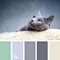 beige and gray, beige and green, beige and light green, blue-gray, blue-gray and gray-violet, colour of fur, colour of wool, gray and beige, gray and green, light green and silver, shades of gray, shades of gray-violet, shades of green, shades of violet-g
