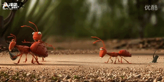 动画广告——蚂蚁