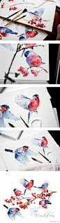 水彩，手绘，鸟，人物，插画，壁纸 步骤，彩铅