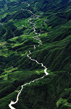 囍临门采集到素材背景