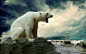 General 1920x1200 polar bears animals