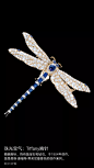 胸针   蜻蜓   蓝宝石