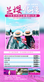 日本旅游海报（芝樱）