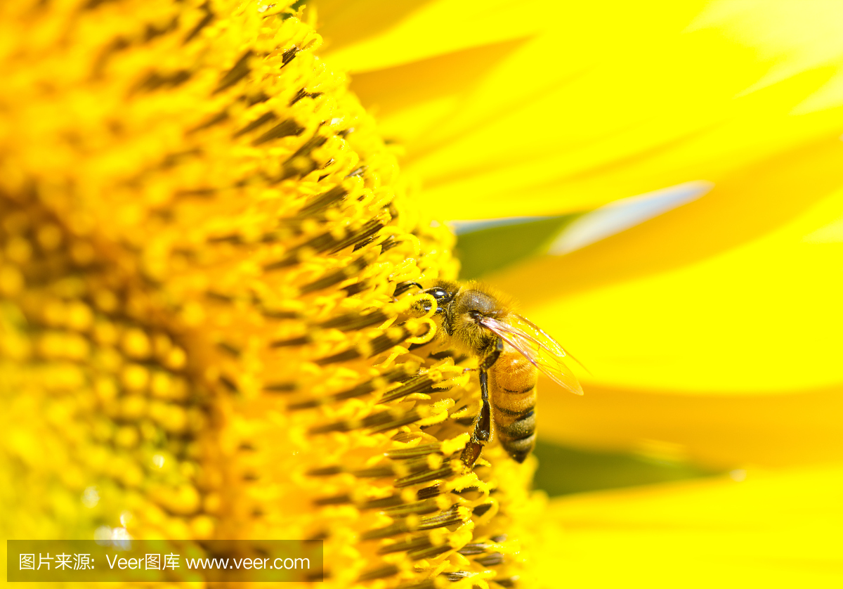 6015f56219e03bb26313faadcd02db7182d7a8e86e8d2-Y6odmQ