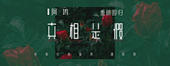 lakeeeer采集到banner