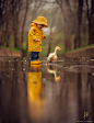 【美图分享】Jake Olson Studios的作品《Rainy Day》 #500px# @500px社区