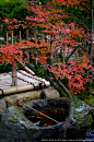 Autumn in Japan