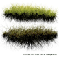 PD Grass by bupaje.deviantart.com on @deviantART: 