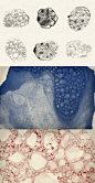 9033-Bubble-Textures-Brush-Pack-1   - PS饭团网