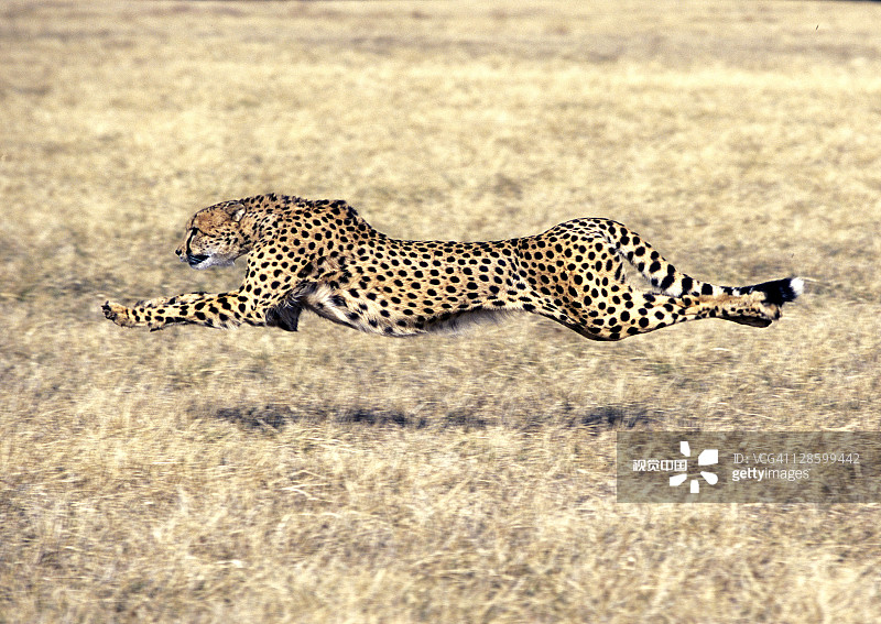 60894b87f60ebc37a6dc79a3a902ac05789770f437ae2-UWpIxr