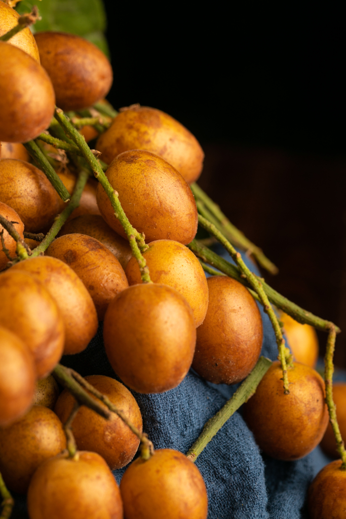 6093a2a705bc2b70292b8bc33904f76d1fd6fbd17d108-zCsSUX