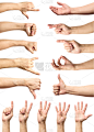 男性,白色背景,多样,分离着色,手势语,多帧影像,白色人种,用手装出触角,同意的手势,哑语
