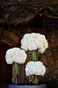 Simple Hydrangea centerpieces. Hydrangea come in lots of colors, and a ribbon around the vase would really jazz it up!: 