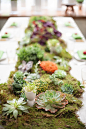 苔藓和多肉植物装饰的奇幻风格餐桌 - 苔藓和多肉植物装饰的奇幻风格餐桌婚纱照欣赏