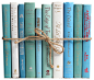 Decorative Books, Modern Ocean traditional-books