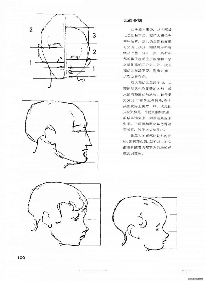 伯里曼人体结构绘画 (105).jpg