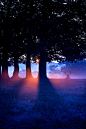 Photograph red and blue by Mark Bridger on 500px