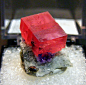 mineralists:

Rhodochrosite on Quartz matrix with Fluorite and PyriteSweet Home Mine, Colorado
