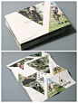 printed brochure design -folded