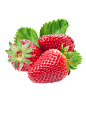 草莓png (658×991)