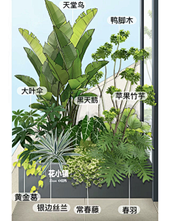 つき°采集到植物PS素材 / 种植意向 / 人物活动意向