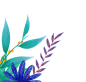 手绘植物 插画 PNG