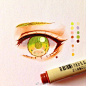 动漫人物眼睛不同形态，马克笔+针管笔~来自插画师clivenzu