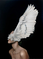 Meet Amu Judd Angels and Godesses  Meet Amy Judd Angels and Godesses 1 Amy Judd art yatzer