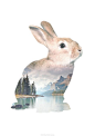 Faunascapes Rabbit Poster by WhatWeDo 50 x 70 cm by WhatWeDoDK